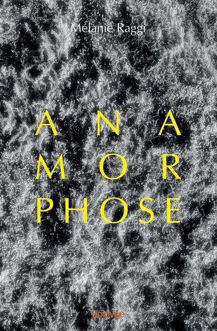 Anamorphose - Mélanie Raggi