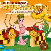 Cover-Bild zum Titel '15: Warum haben Schnecken Häuser?' von 'Kati Naumann, Klaus Brotmann'