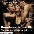 Cover-Bild zum Titel 'Gangbang in der Ehe' von 'Cheyenne Silver'