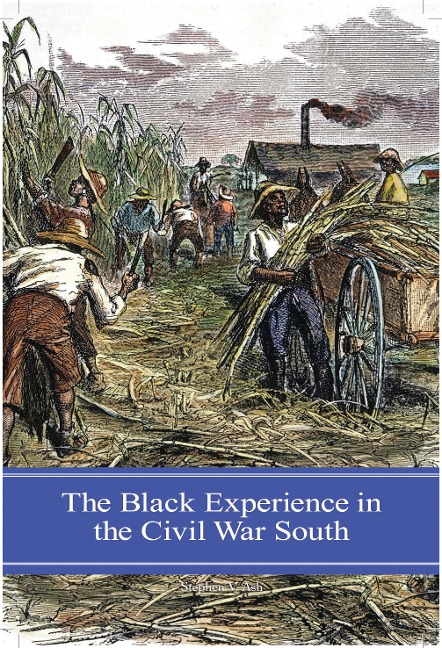 The Black Experience in the Civil War South - Stephen V. Ash