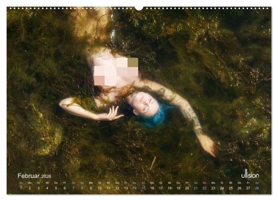 InsideView 7
