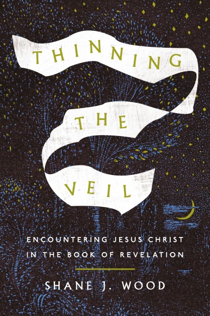 Thinning the Veil - Shane J. Wood