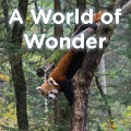 A World of Wonder - Brent A. Ford, Lucy McCullough Hazlehurst
