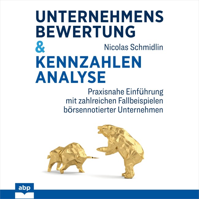Unternehmensbewertung & Kennzahlenanalyse - Nicolas Schmidlin