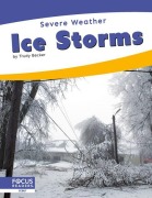 Cover-Bild zum Titel 'Ice Storms' von 'Trudy Becker'