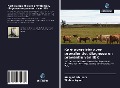 Cover-Bild zum Titel 'Kort overzicht over prevalentie, diagnose en preventie van IBK' von 'Wakgari Abirham, Tilahun Ayano'