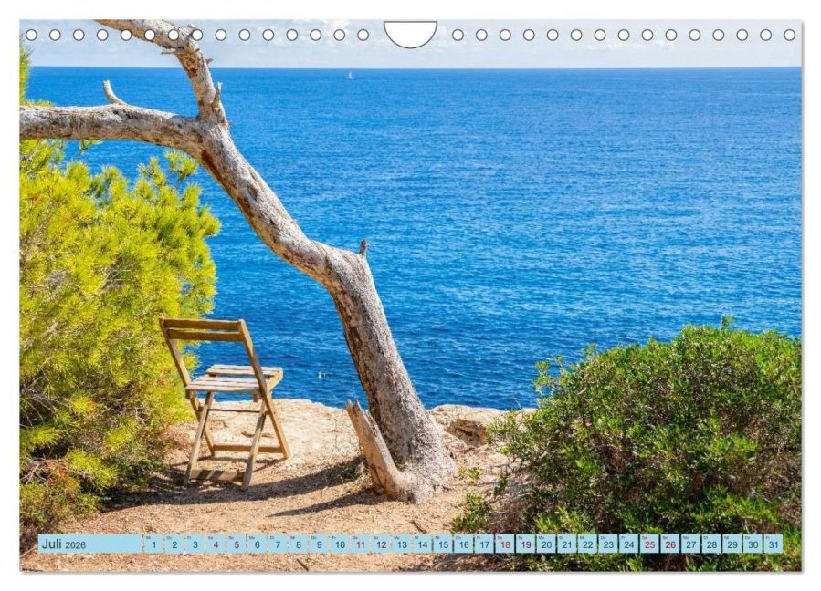 InsideView 12