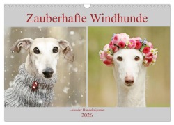 Cover-Bild zum Titel 'Zauberhafte Windhunde (Wandkalender 2026 DIN A3 quer), CALVENDO Monatskalender' von 'Kathrin Köntopp'