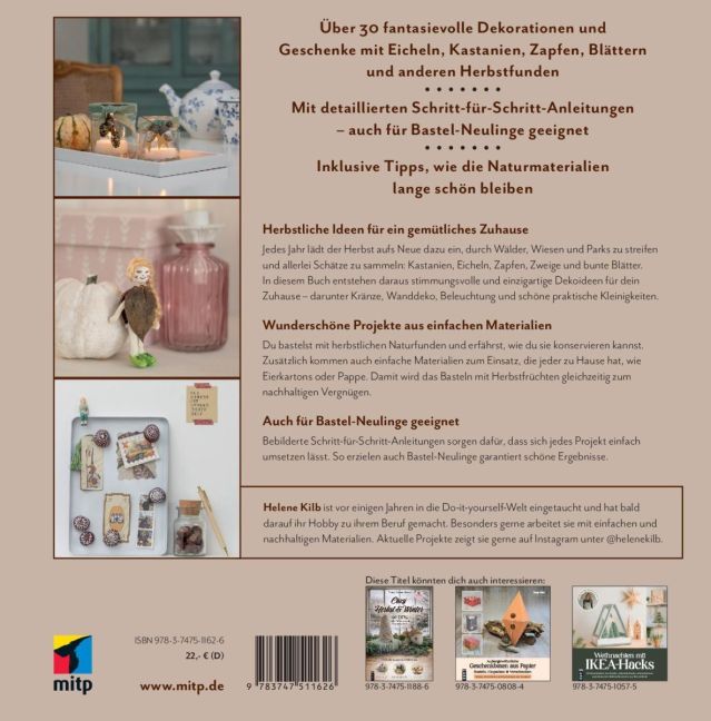 InsideView 1