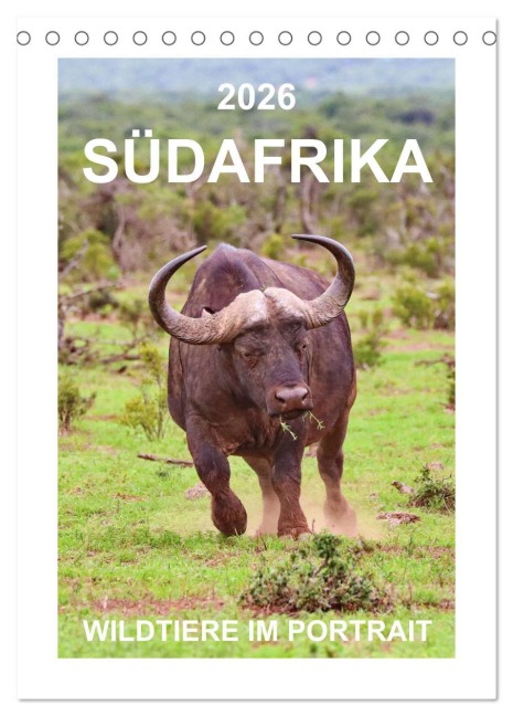 SÜDAFRIKA - WILDTIERE IM PORTRAIT (Tischkalender 2026 DIN A5 hoch), CALVENDO Monatskalender - Barbara Fraatz