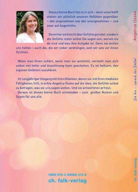 InsideView 1