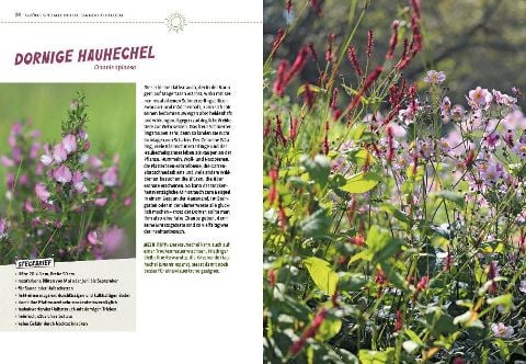 InsideView 6