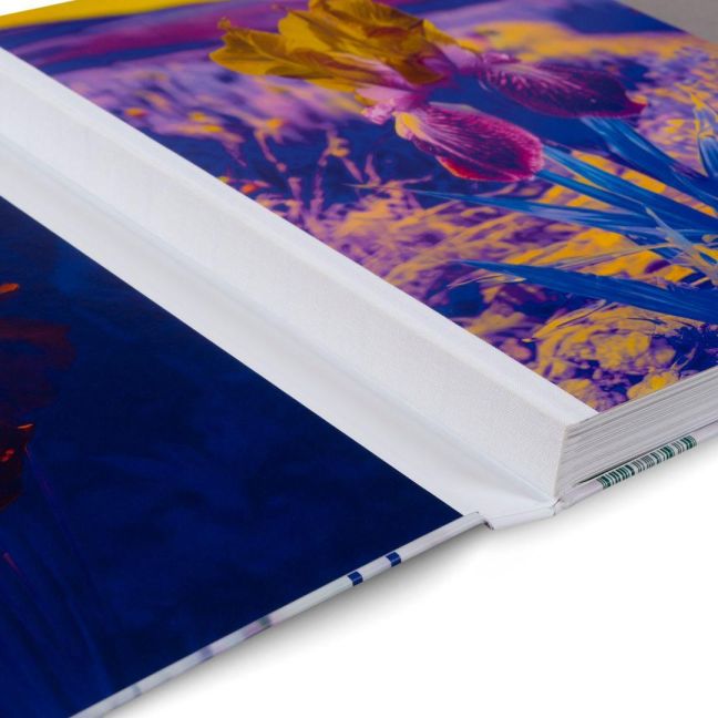 InsideView 21