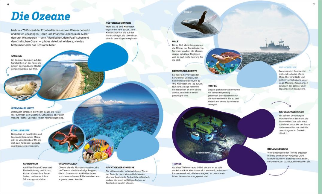 InsideView 3