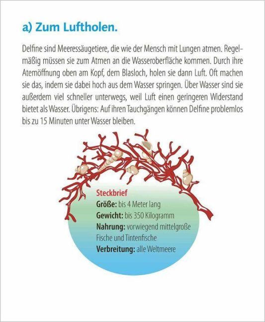 InsideView 14