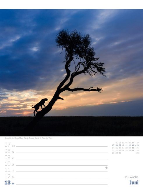 InsideView 27