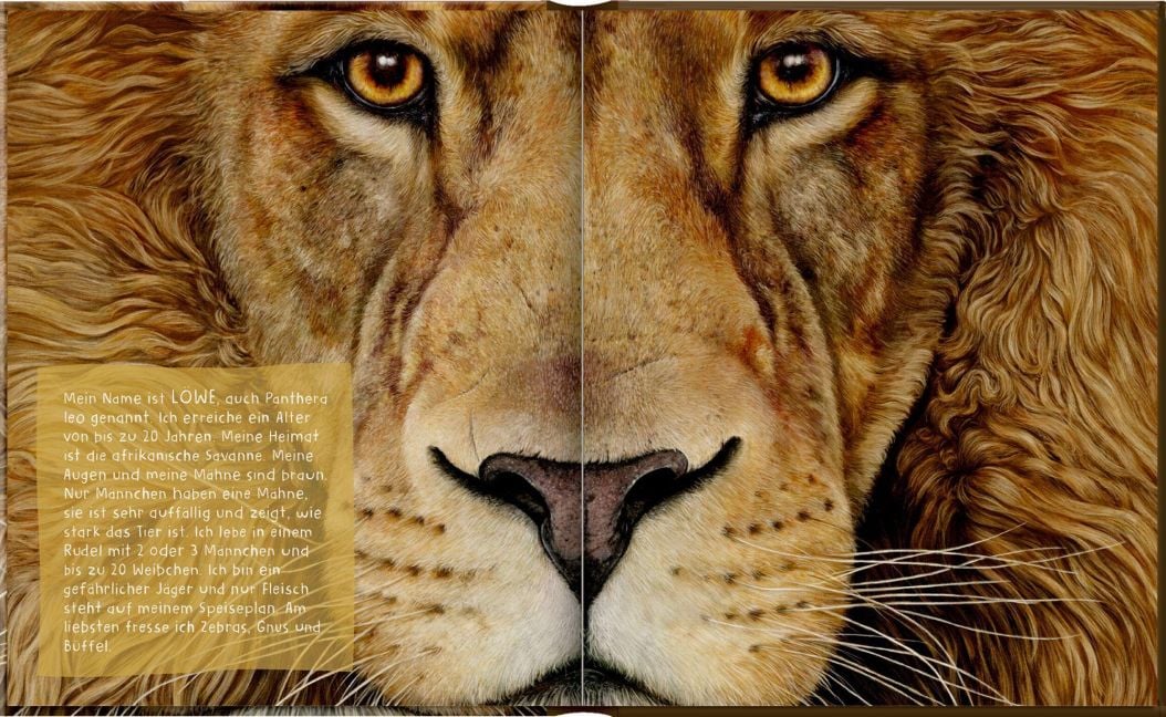 InsideView 5