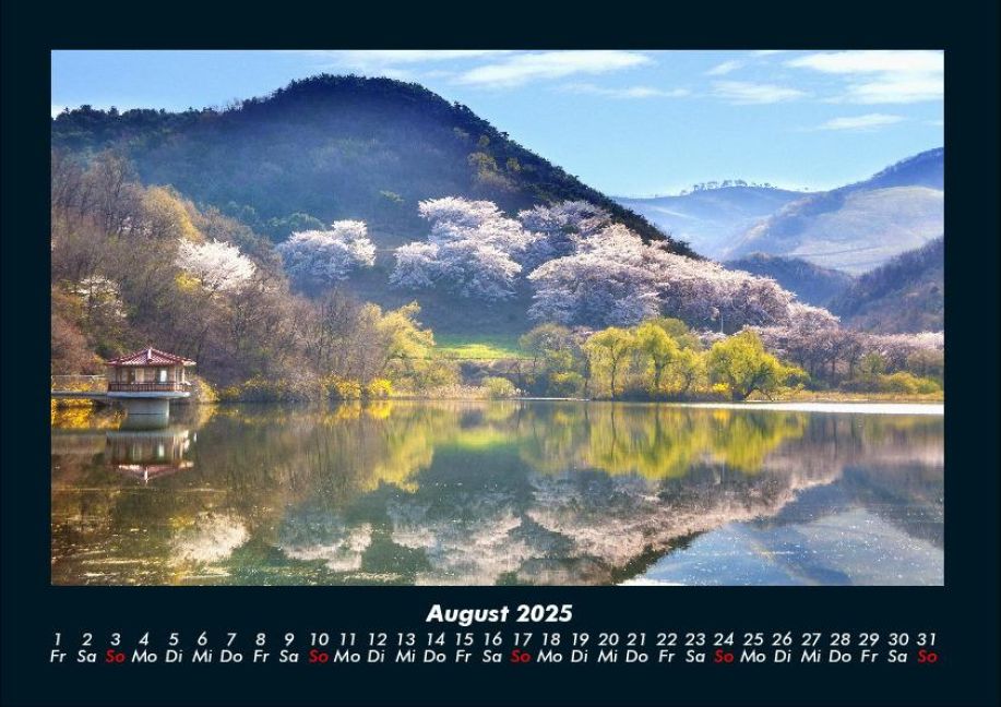 InsideView 12
