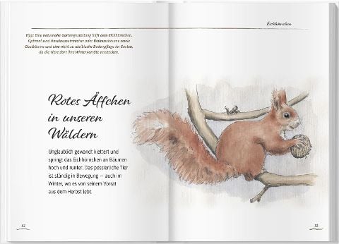 InsideView 10