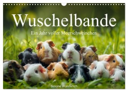 Cover-Bild zum Titel 'Wuschelbande - Ein Jahr voller Meerschweinchen (Wandkalender 2026 DIN A3 quer), CALVENDO Monatskalender' von ''