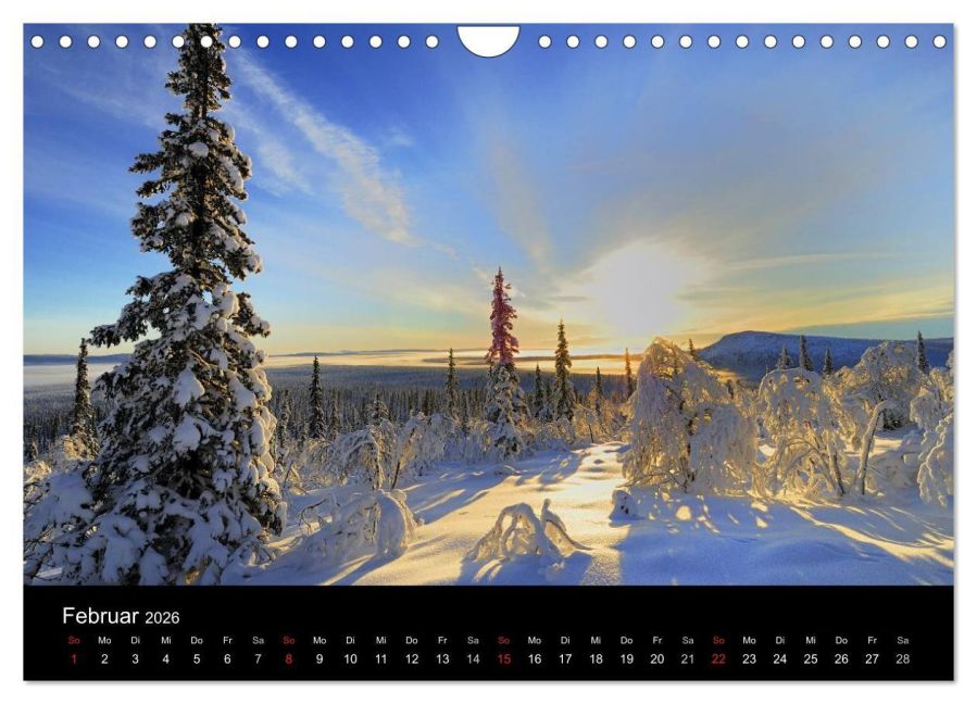 InsideView 7