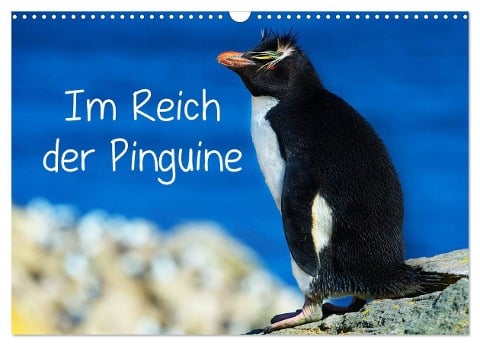 Im Reich der Pinguine (Wandkalender 2025 DIN A3 quer), CALVENDO Monatskalender - Hans-Gerhard Pfaff