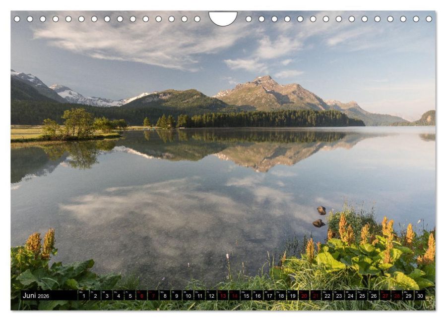 InsideView 11