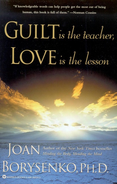 Guilt is the Teacher, Love is the Lesson - Joan Borysenko