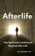 Afterlife - K. Saxena