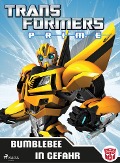 Cover-Bild zum Titel 'Transformers - Die Rache' von 'Dan Jolley'