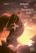 Cover-Bild zum Titel 'Where the Dragon's Rain Falls 9' von 'Summer'