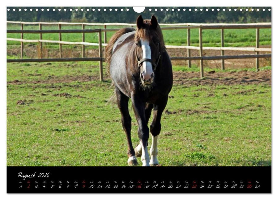 InsideView 13