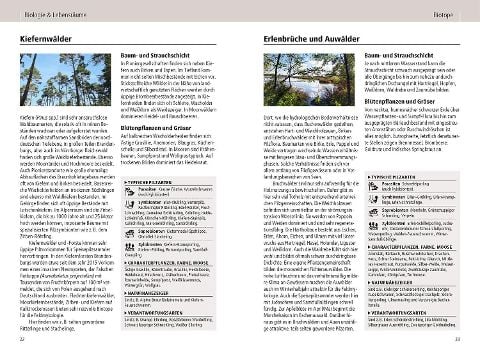 InsideView 3