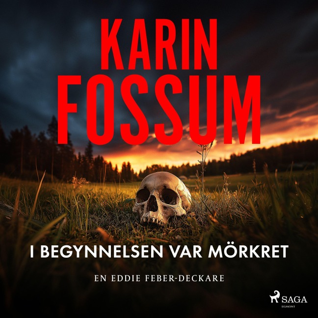 I begynnelsen var mörkret - Karin Fossum