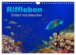 Riffleben - Einfach mal abtauchen (Wandkalender 2026 DIN A4 quer), CALVENDO Monatskalender - Tina Melz