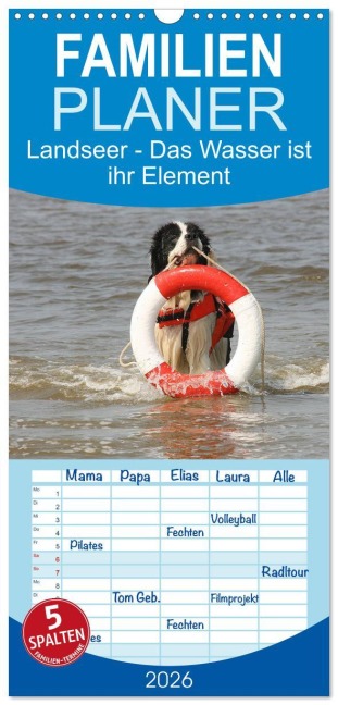 Familienplaner 2026 - Landseer - Das Wasser ist ihr Element mit 5 Spalten (Wandkalender, 21 x 45 cm) CALVENDO - Barbara Mielewczyk Und Brigitte Weil