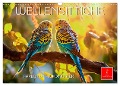 Wellensittiche farbenfroh und munter (Wandkalender 2025 DIN A3 quer), CALVENDO Monatskalender - Peter Roder