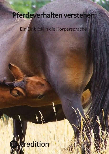 Pferdeverhalten verstehen: Ein Einblick in die Körpersprache - Moritz
