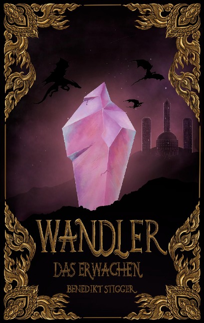 Wandler - Das Erwachen - Benedikt Stigger