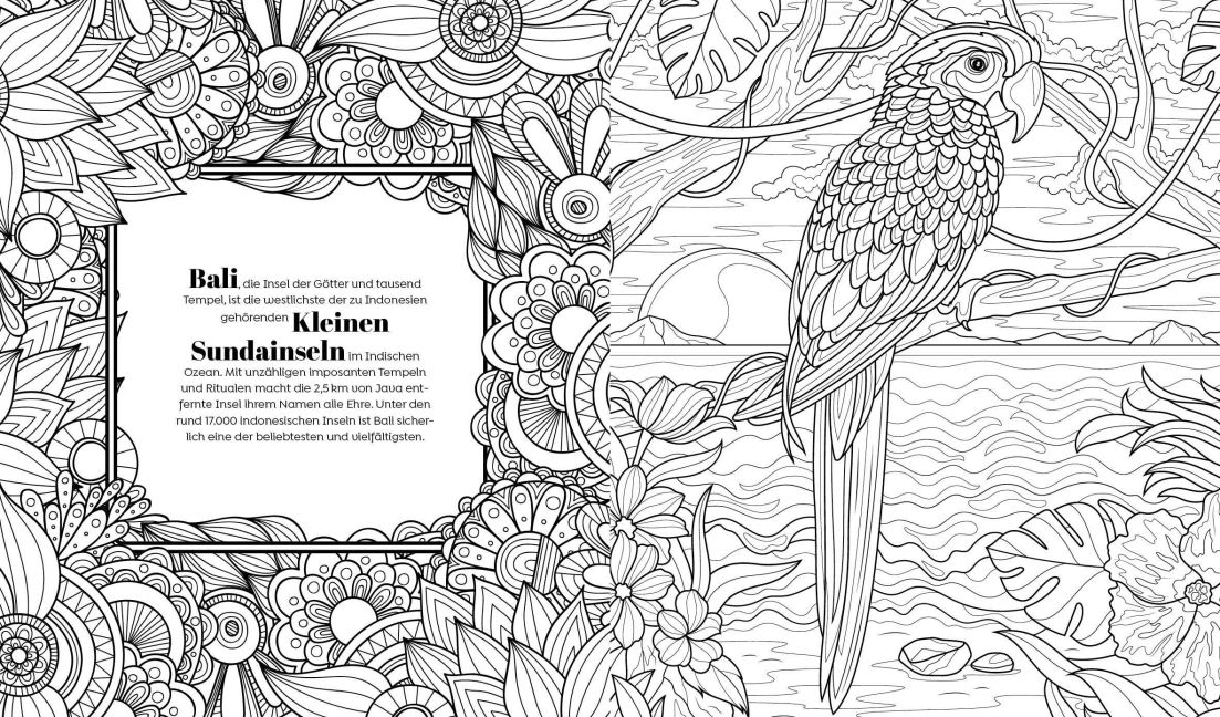 InsideView 12