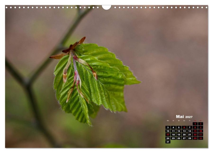 InsideView 10