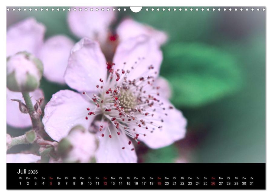 InsideView 12