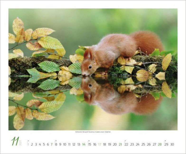 InsideView 11