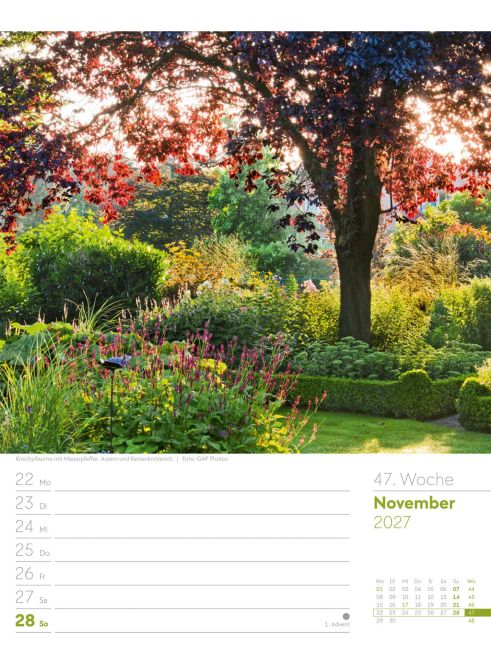 InsideView 51