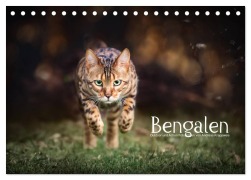 Cover-Bild zum Titel 'Bengalen Outdoor und Action (Tischkalender 2026 DIN A5 quer), CALVENDO Monatskalender' von 'Andreas Krappweis'