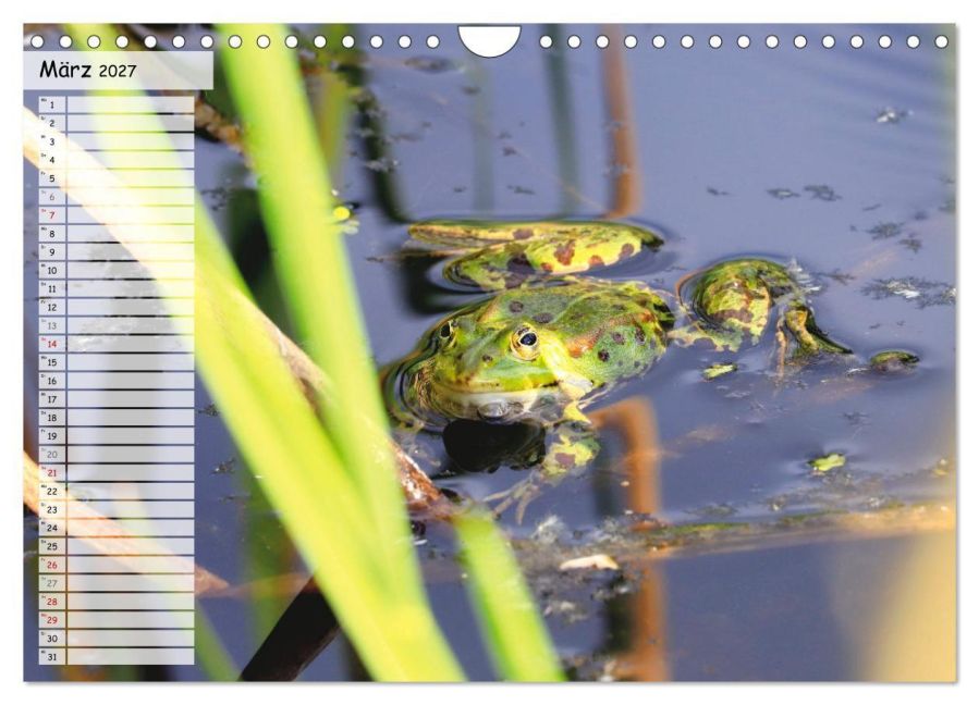 InsideView 8
