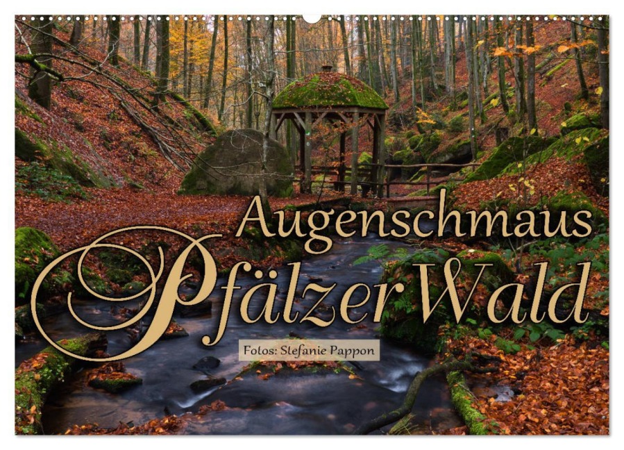 Augenschmaus Pfälzer Wald (Wandkalender 2026 DIN A2 quer), CALVENDO Monatskalender - Stefanie Pappon