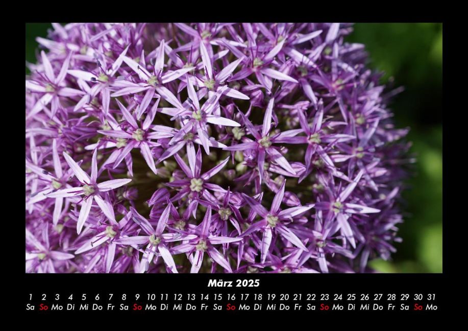 InsideView 7