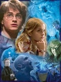 Cover-Bild zum Titel 'Erwachsenenpuzzle 500 Teile - Harry Potter in Hogwarts' von ''