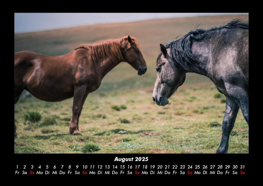 InsideView 12